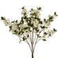 White Spring Mock Orange Flower
