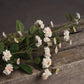 Cream Wild Meadow Rose