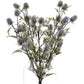 Eryngium Thistle