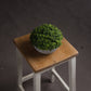Small Hebe Globe Pot