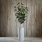 Viburnum Berry