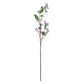Viburnum Berry