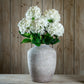 Single White Hydrangea