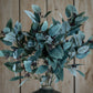 Seeded Eucalyptus Stem