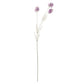 Purple Meadow Flower