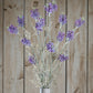 Purple Meadow Flower