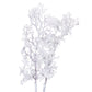Snowy Branch
