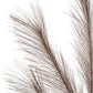 Grey Large Faux Pampas Grass Stem