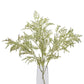 Broom Stem