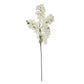 Large White Full Cherry Blossom Stem