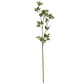 Faux White Cow Parsley Ammi