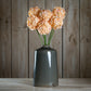 The Natural Garden Collection White & Apricot Allium