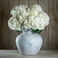 The Natural Garden Collection White Allium