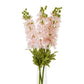 The Natural Garden Collection Pink Elatum Delphinium