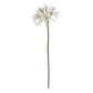 The Natural Garden Collection White Nerine Lily Stem