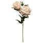 The Natural Garden Collection Palest Blush Charity Rose