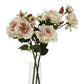 The Natural Garden Collection Palest Blush Tea Rose