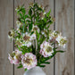 The Natural Garden Collection Pale Pink Scabious Stem