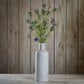 The Natural Garden Collection Purple Nigella Love In A Mist