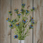 The Natural Garden Collection Purple Nigella Love In A Mist