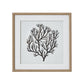 Atol Coral Art Mounted In Beaded Frame