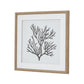 Reef Coral Art Mounted In Beaded Frame