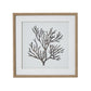 Reef Coral Art Mounted In Beaded Frame