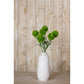 Light Green Dianthus Stem