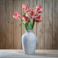Multi Pink Parrot Tulip