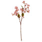 Pink Vernicia Fordii Spray