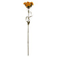 Yellow Dianthus Spray
