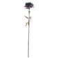 Purple Carnation Stem