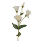 White Lisianthus Spray