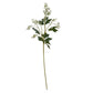 Milk Thistle Bud Spray
