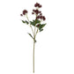Purple French Meadow Spray