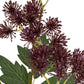 Purple French Meadow Spray