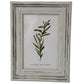 Alba Photo Frame 4X6