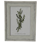 Alba Photo Frame 5X7