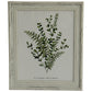 Alba Photo Frame 8X10