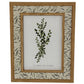 Tundra Photo Frame 5X7