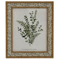 Tundra Photo Frame 8X10