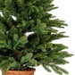Norway Fir Pre-Lit LLED 300L Fir Tree In Rattan Pot