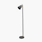 Theia Black and Brushed Brass Task Floor Lamp