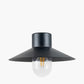 Carina Dark Grey Metal Outdoor Wall Light
