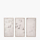 S/3 Natural and White Birds Canvases with Natural Frames