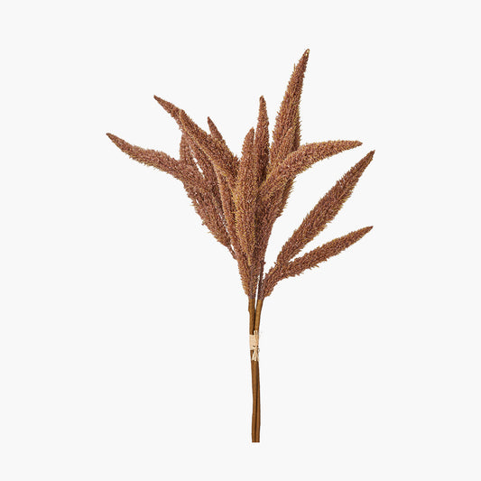 Mulberry Brown Foxtail Hand-Tied 3 Stem Bundle Pack of 6