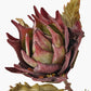 Mulberry Lotus Pack of 6