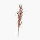 Mulberry Brown Autumn Leaf Pack of 6