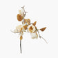 Natural Cream Magnolia Pack of 6