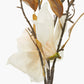 Natural Cream Magnolia Pack of 6